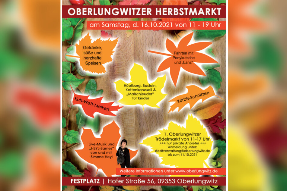 Das schöne Herbstwetter bei Live-Musik und Leckereien genießen, während sich die Kinder austoben - das ist auf dem Oberlungwitzer Herbstmarkt möglich.
