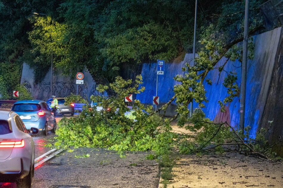 Mehrere Bäume stürzten in Stuttgart um.