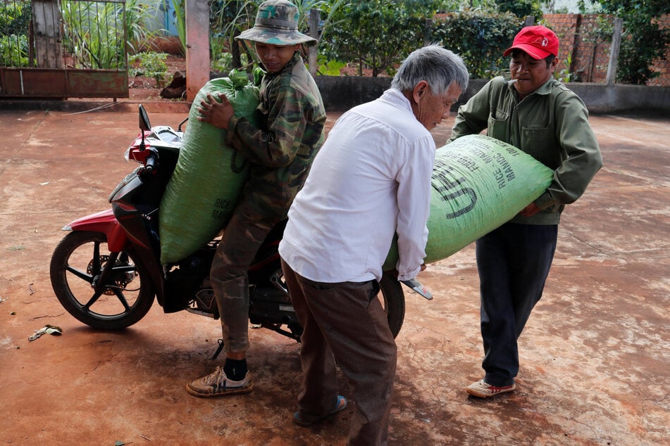 Bis heute beziehen einige sächsische Röstereien ihre Kaffeebohnen direkt aus Vietnam. (Symbolfoto)