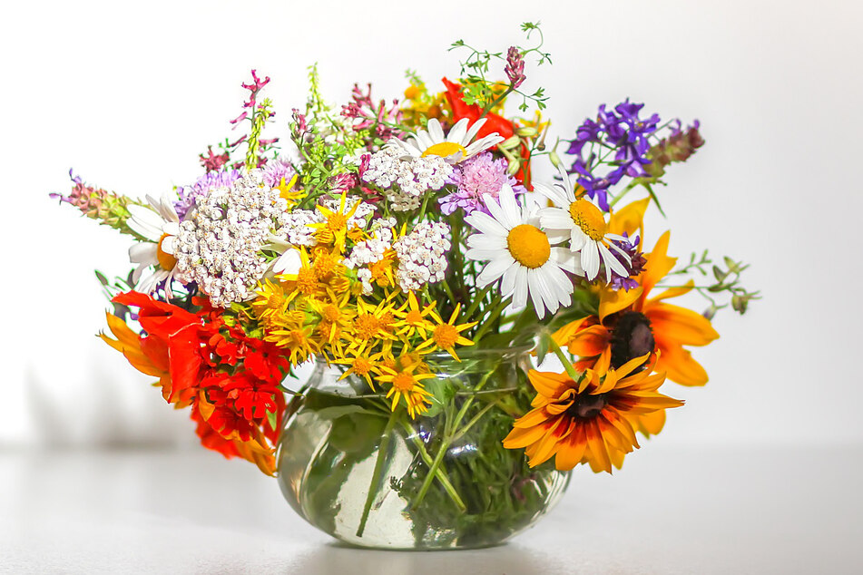 Zum Trocknen eignen sich viele Blumen. Besonders farbenprächtige Sorten kann man auf jeder Blumenwiese finden.