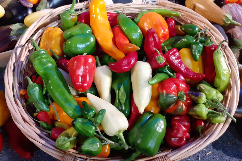 Erfolgsgemüse Paprika hat kulinarische Tradition auf der ganzen Welt verändert