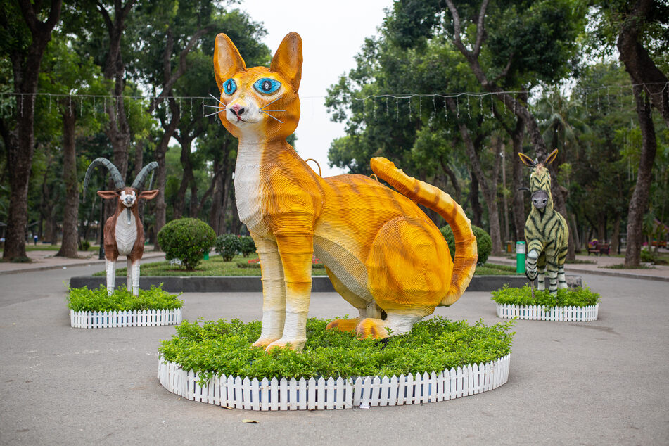 Das Jahr der Katze beginnt bald: Eine zwei Meter hohe Katzenstatue begrüßt die Besucher des Thong-Nhat-Parks in Hanoi.