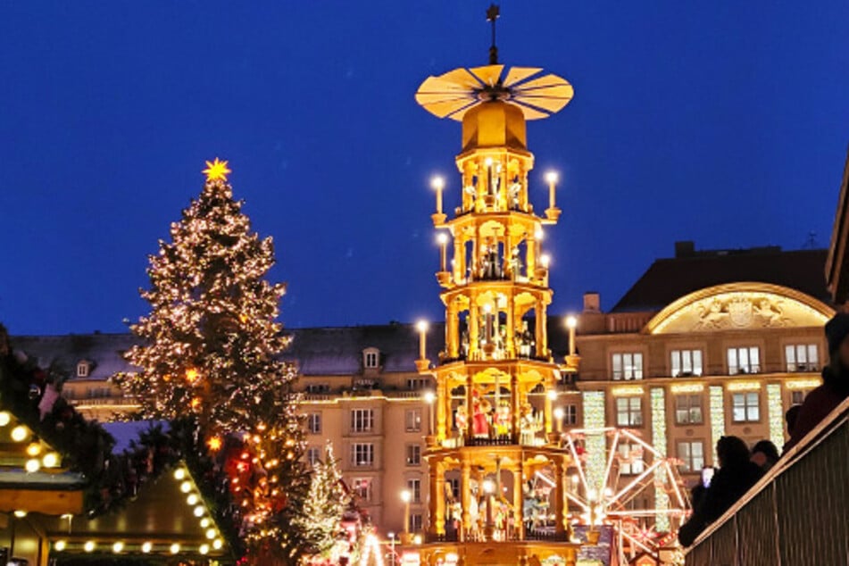 Der wunderschöne Weihnachtsbaum und die Pyramide auf dem Dresdner Striezelmarkt strahlen um die Wette.