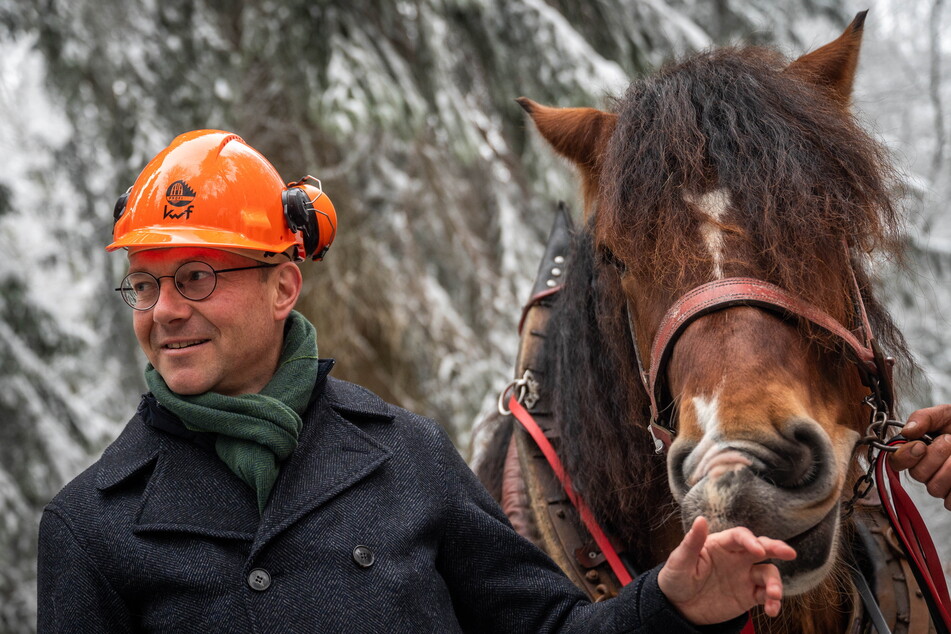 Forstminister Wolfram Günther (49, Grüne) besuchte die vierbeinigen Waldarbeiter Sachsens.