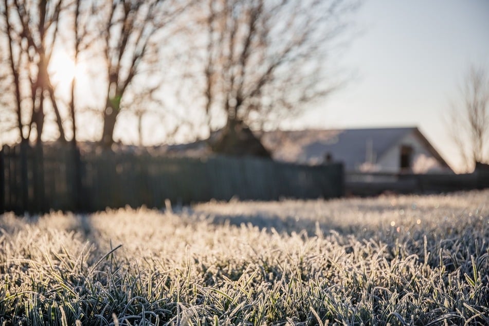 In den Nächten kühlt es stark ab, bis am Morgen die Sonne wieder hervorkommt. (Symbolbild)