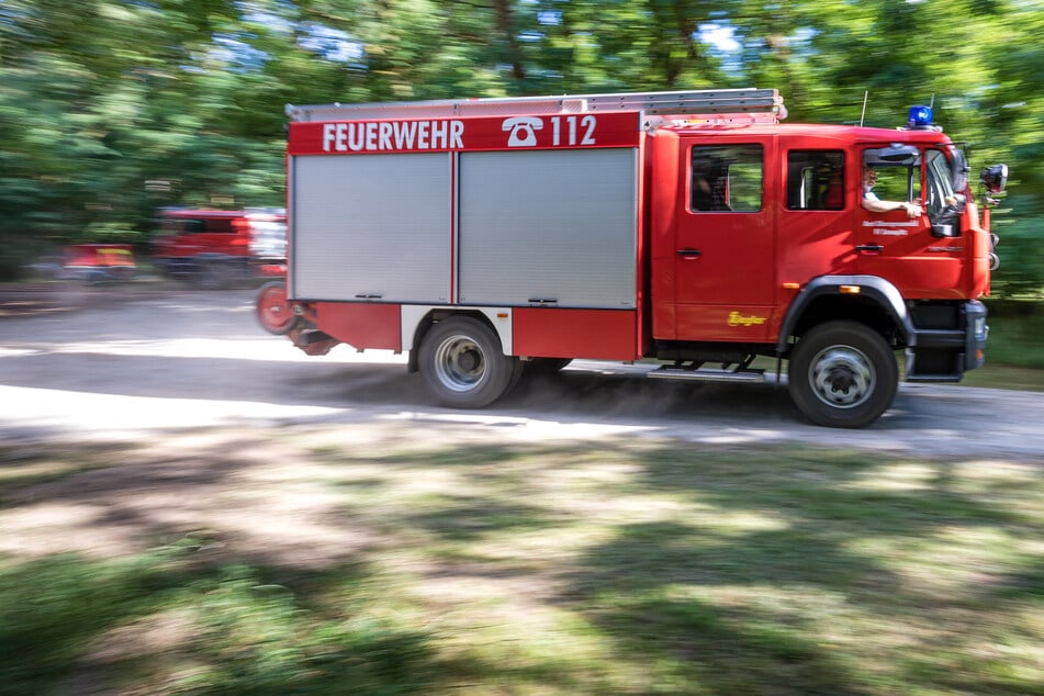 Waldbrand bei Niemegk: Feuerwehr ist im Einsatz