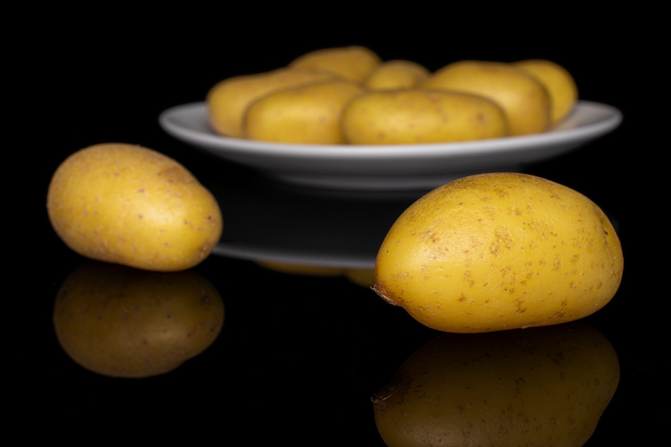 Mit einer zerlöcherten Kartoffel, Möhre oder ausgehöhlten Äpfeln kann man die Asseln anlocken und dann entsorgen.
