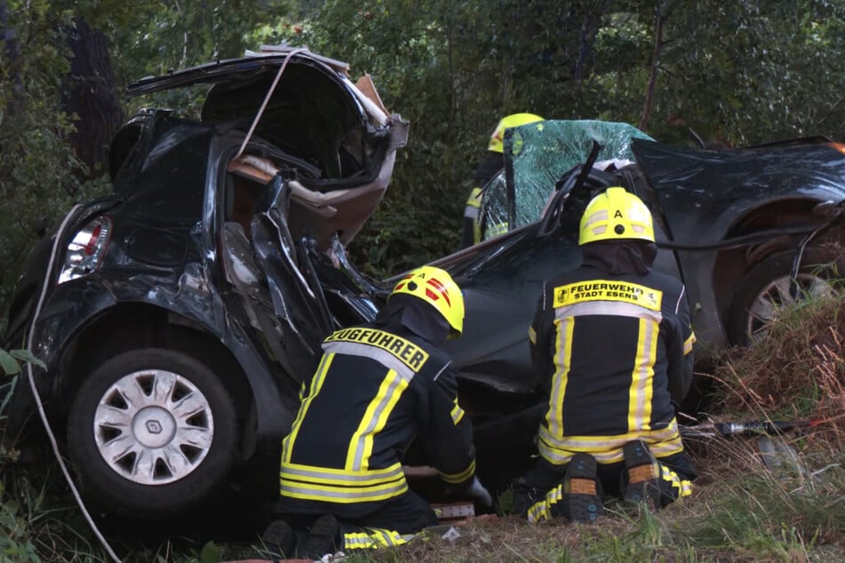 Eine 23-Jährige und ihr Hund sind bei einem schweren Verkehrsunfall in Niedersachsen ums Leben gekommen.