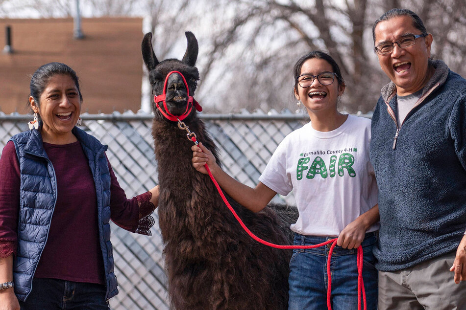 Llama with a fantastic name sets Guinness World Record!