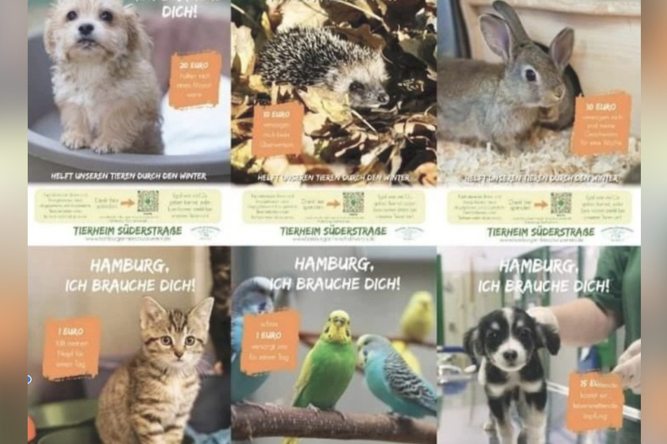 Unter anderem mit diesen Plakaten wirbt der Hamburger Tierschutzverein um Spenden.