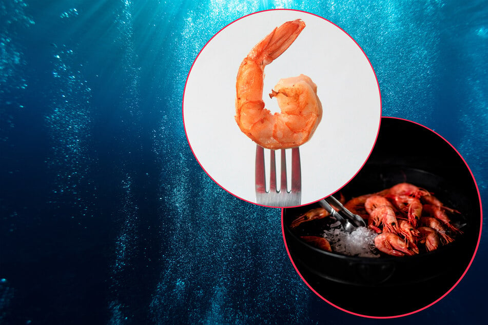 Prawns vs. shrimp: What's the difference between shrimp and prawns?