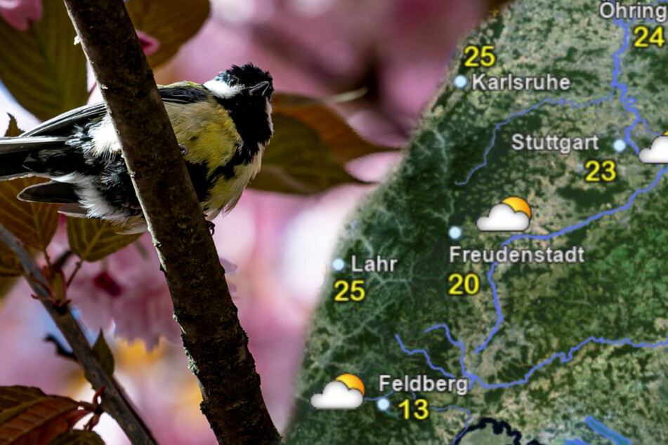 So wird das Wetter am Wochenende in Baden-Württemberg