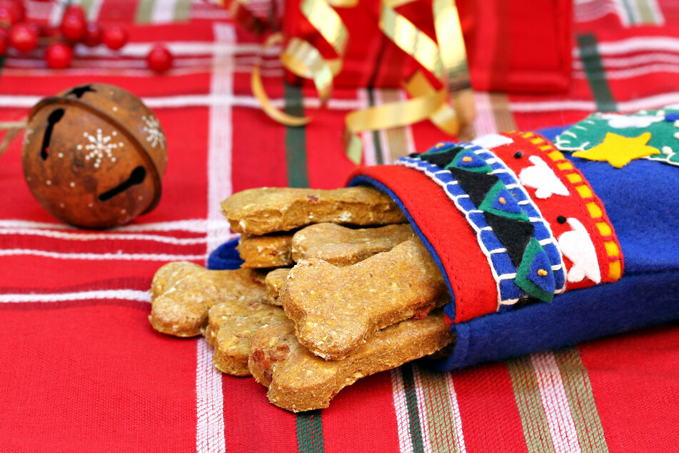 In Säckchen verpackt eignen sich die selbst gebackenen Hunde-Kekse auch bestens als weihnachtliche Geschenk-Idee für andere Halter. (Symbolbild)