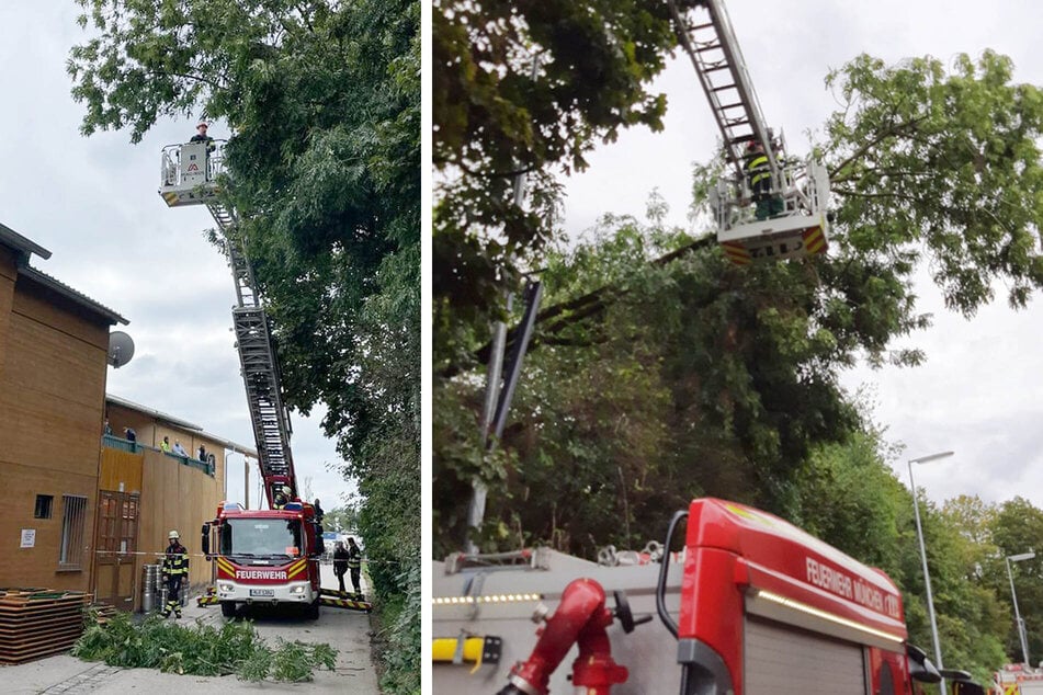 Ein Feuerwehrmann zersägte den Baum in kleine Teile, bis keine Gefahr mehr bestand.