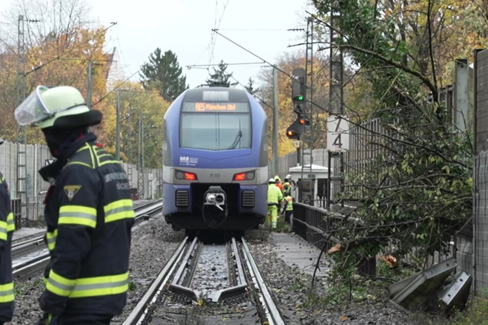 Der Baum durchbrach zuerst eine Schallschutzwand und krachte dann auf die Regionalbahn.