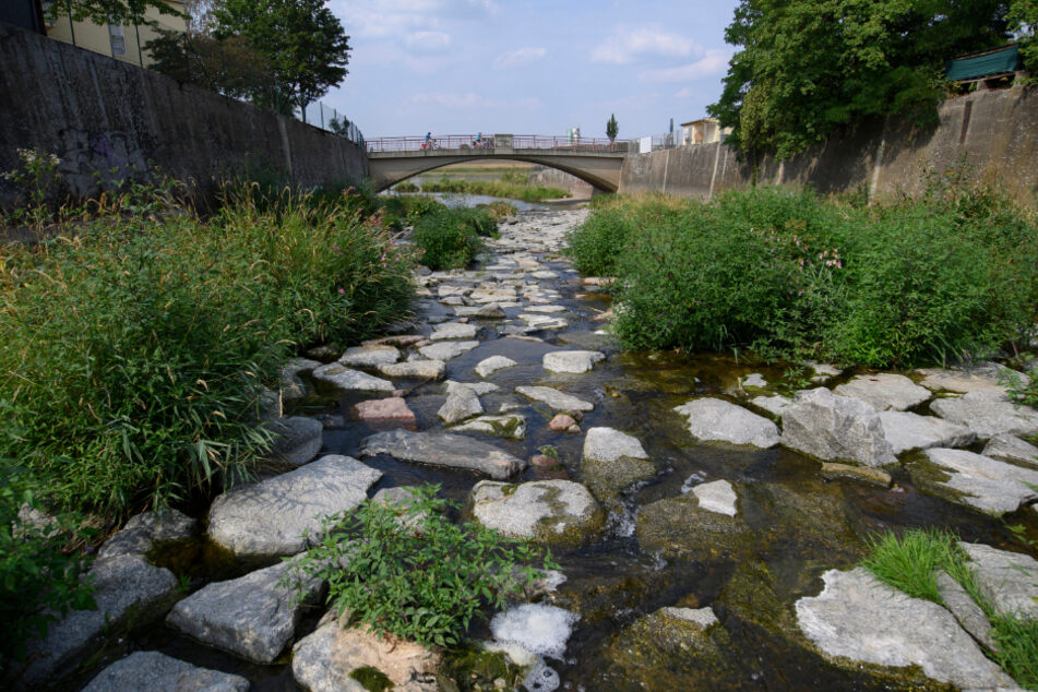 Auch die Weißeritz an der Mündung zur Elbe ist kaum mehr als ein Rinnsal.