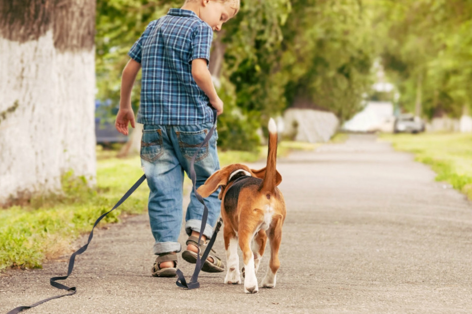 Lichtenstein: Fünfjähriger allein mit Hund unterwegs