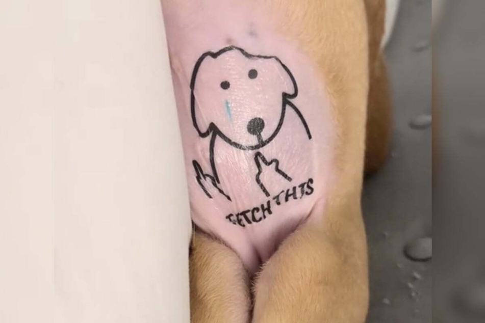 This foster dog's temporary tattoo caused quite a stir.