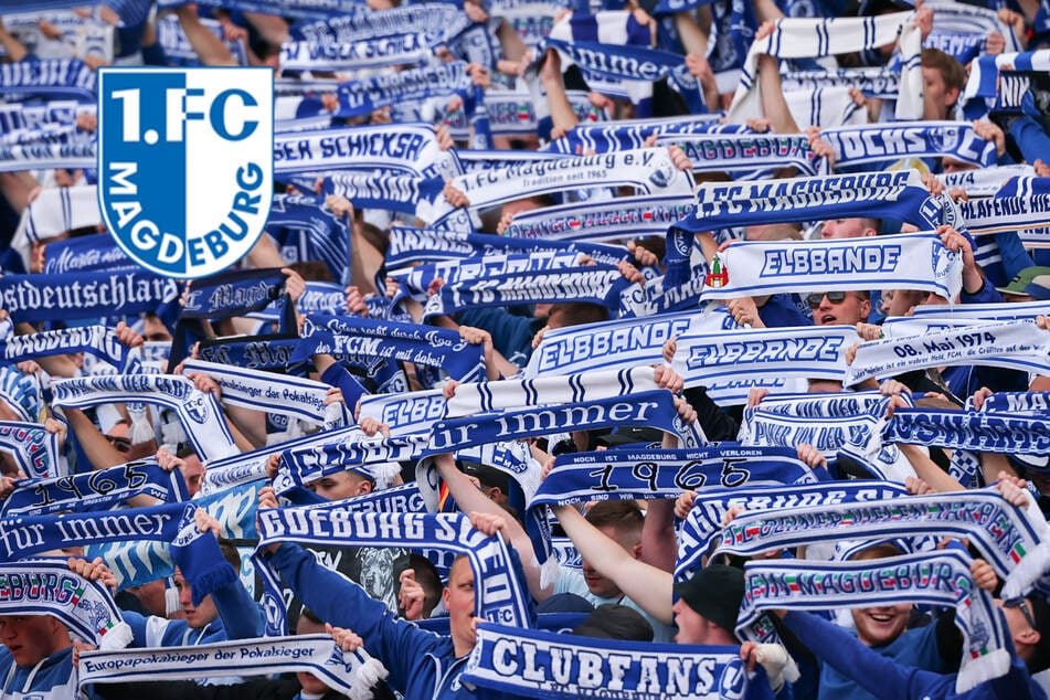 Große Teile AfD-Wähler unter den FCM-Fans? Forderung sorgt für Empörung
