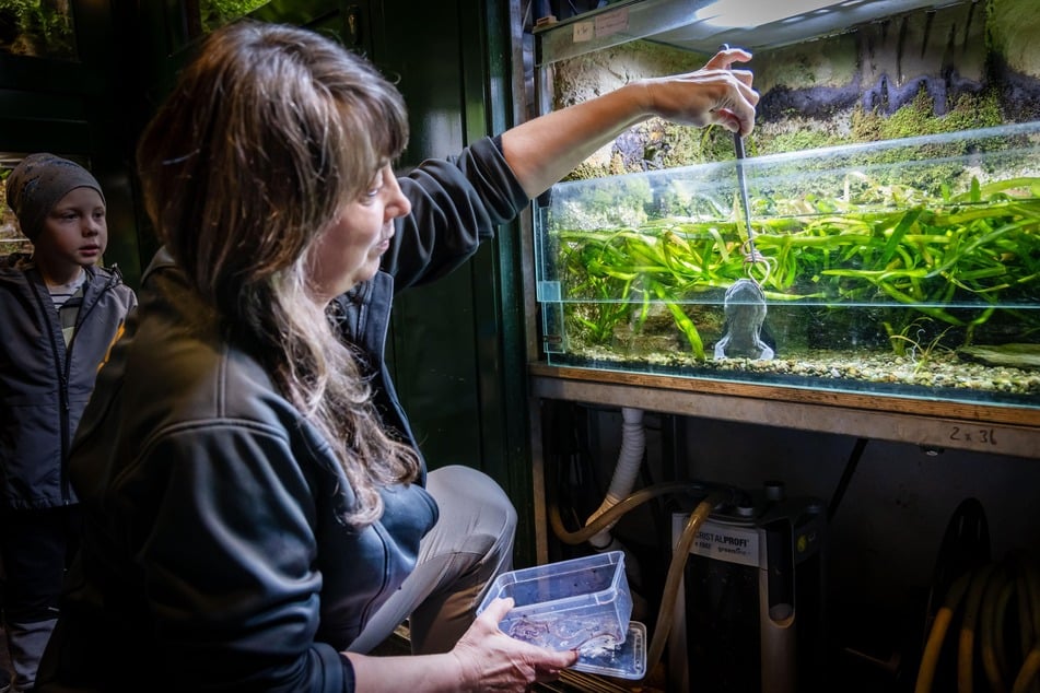 Am 31. Oktober finden Schaufütterungen im Vivarium statt.