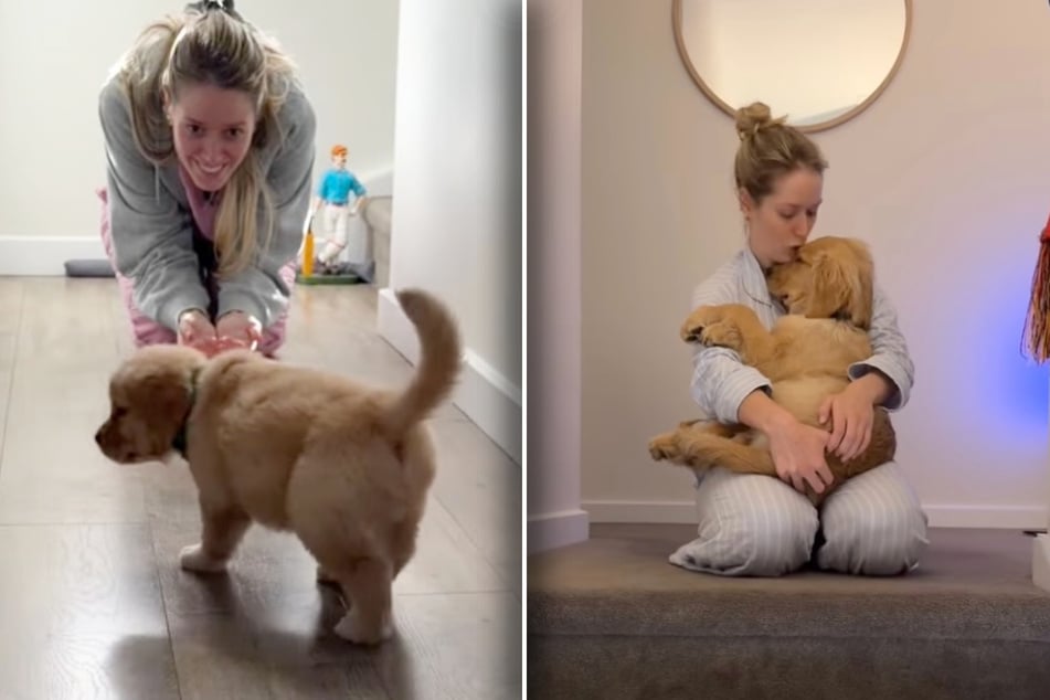 Frau schafft sich Golden Retriever an: Doch mit diesen Problemen hat sie nicht gerechnet