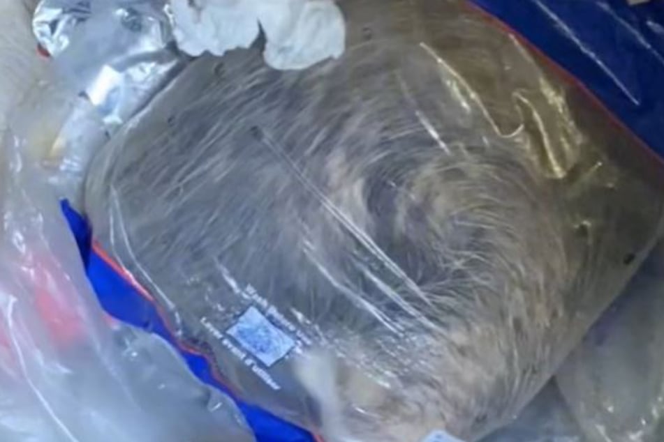 Frau entdeckt Tüte mit Fellknäuel im Müll: Als es sich bewegt, stockt ihr der Atem