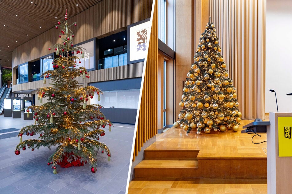 Drei Meter hoch ist der rot geschmückte Weihnachtsbaum im Stadtforum (l.). Der künstliche Weihnachtsbaum im Plenarsaal des Neuen Rathauses (r.) hat fast mehr Kugeln als Nadeln.