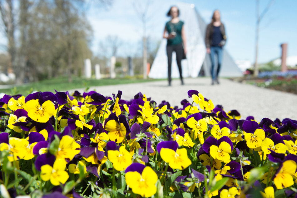 Mit einjähriger Verspätung soll die Landesgartenschau in Ingolstadt zumindest offiziell starten - aber vorerst ohne Publikum. (Symbolbild)