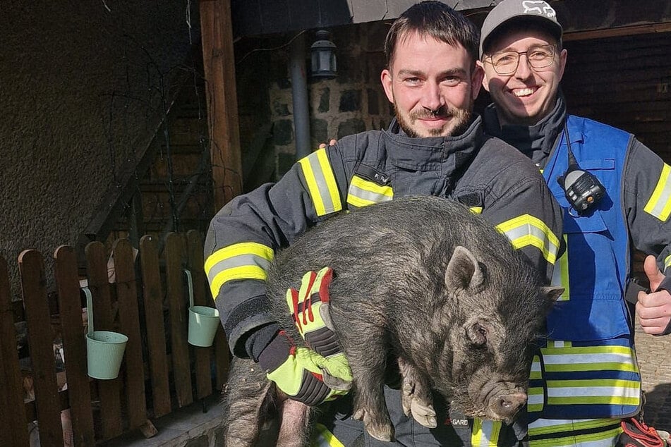 Das Schwein konnte von der Feuerwehr gerettet werden.