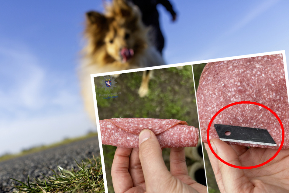 Das Polizeifoto im Kasten zeigt die präparierte Salami-Scheibe, die die Hundehalterin am Dienstag im südhessischen Bickenbach entdeckt hatte.