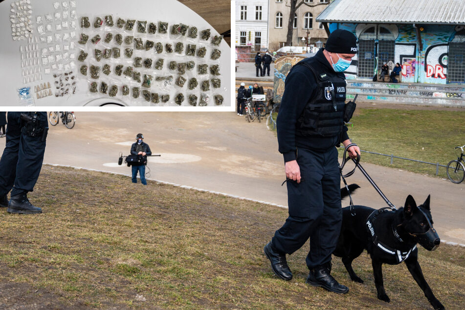 Berlin: Erfolgreicher Tag für Spürnase Levy: Polizeihund wird im Görlitzer Park fündig