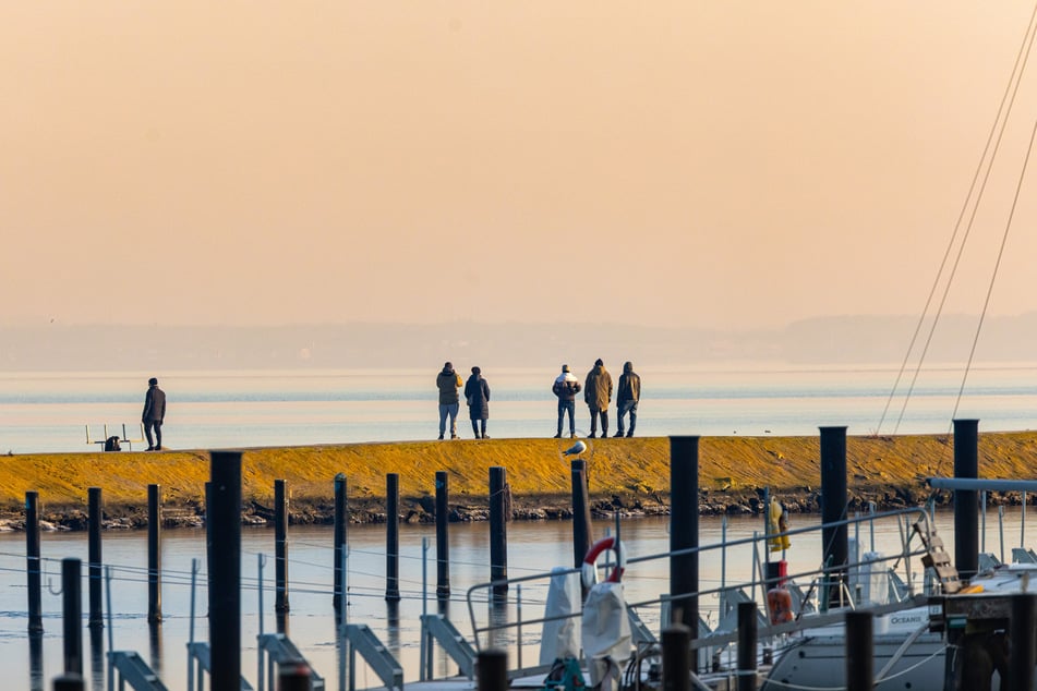 Spaziergänger halten an der Flensburger Förde nach dem Wal Ausschau.