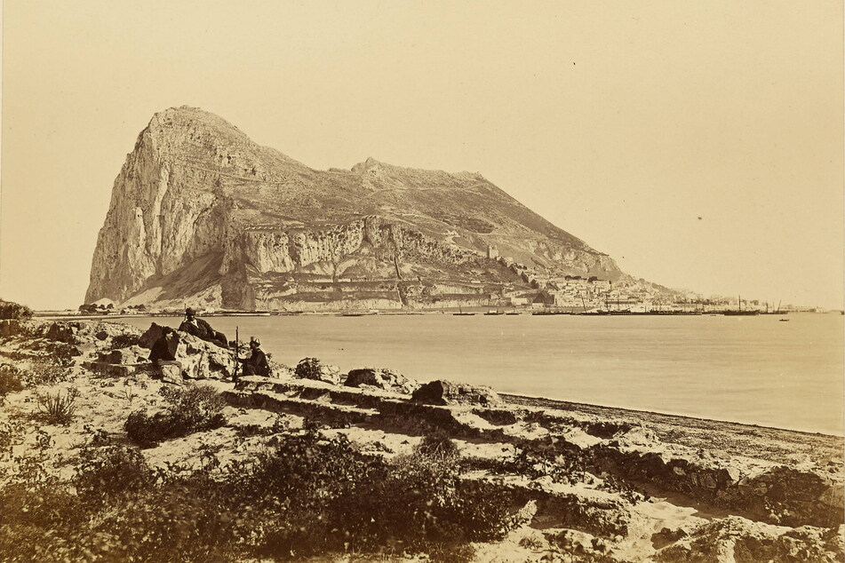 Unweit von Gibraltar wurde der makabre "Köder" platziert.