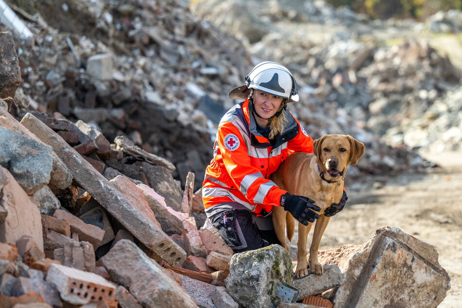 Sarah Unger (33) von der Rettungshundestaffel des DRK Kreisverbandes Aue-Schwarzenberg übt mit Labrador Wilma (4) die Suche nach Vermissten in Trümmern.