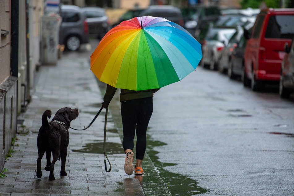 Schirme sind bei der aktuellen Wetterlage für Fußgänger unverzichtbare Begleiter.
