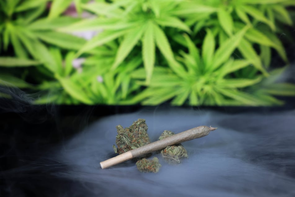 Cannabis-Besitz, wie dieser Joint, ist inzwischen in Deutschland zwar erlaubt. Aber die Mengen aus der Anklage am Landgericht Dresden sind eindeutig über dem "Eigenbedarf".