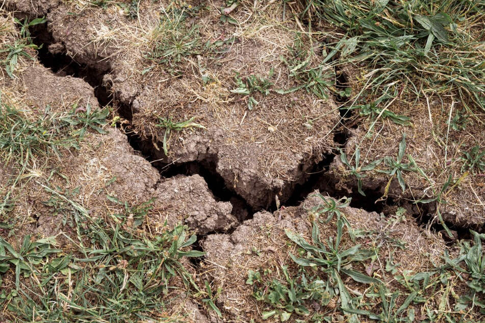 Klimawandel hinterlässt Spuren: Deutlicher Wassermangel in Thüringen