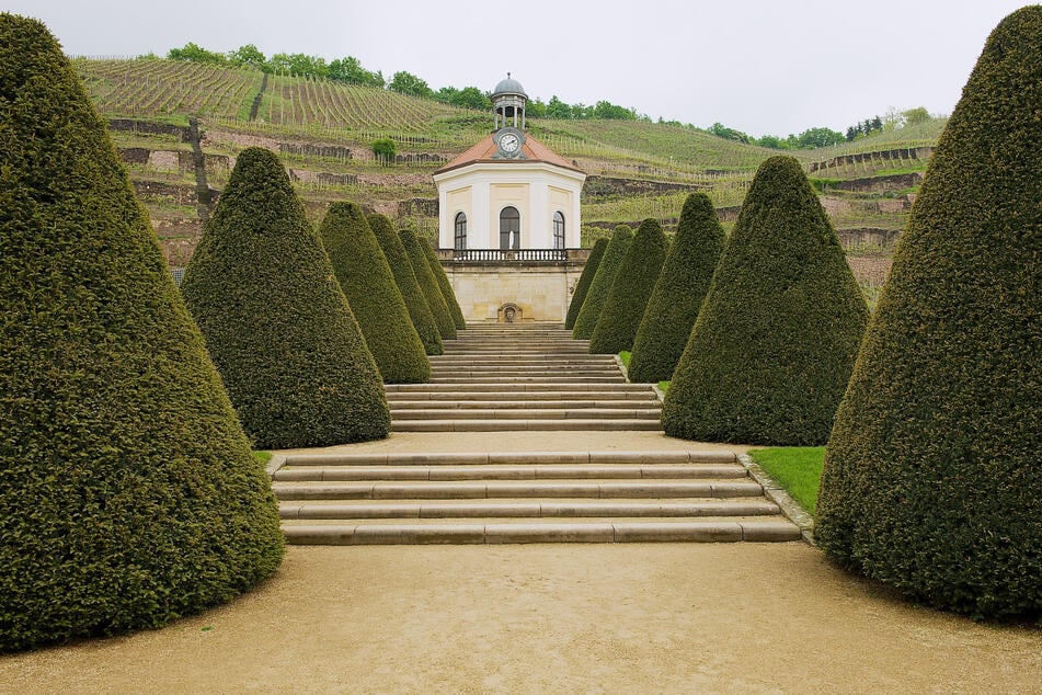 Schloss Wackerbarth bietet am Mittwoch Wein-Führungen an.