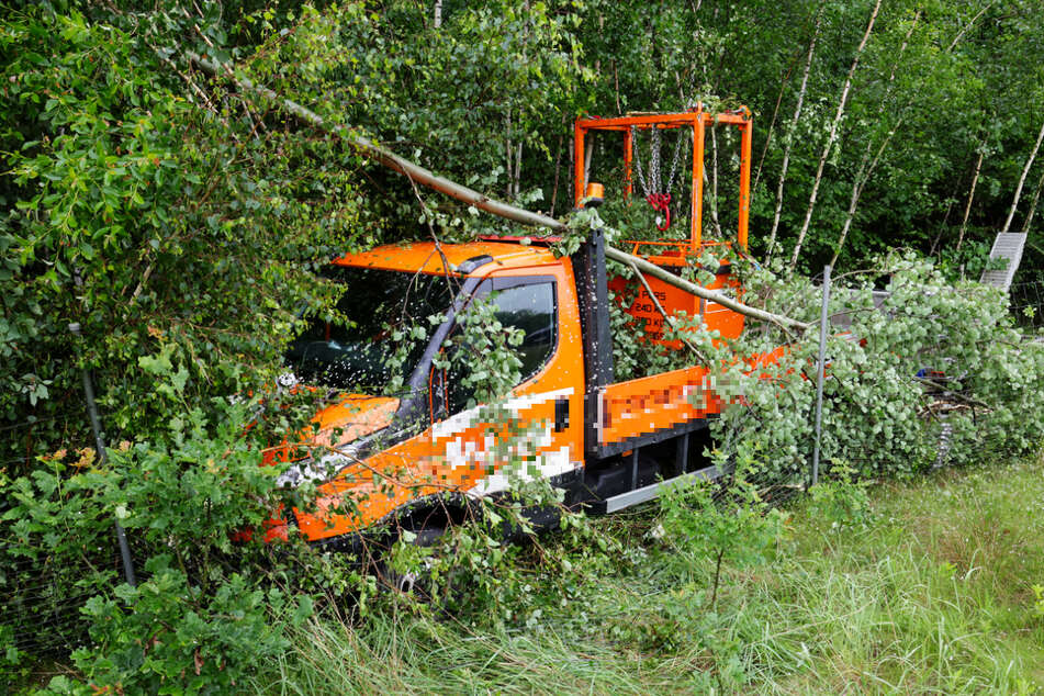 Ein Transporter landete neben der A4 im Wald.