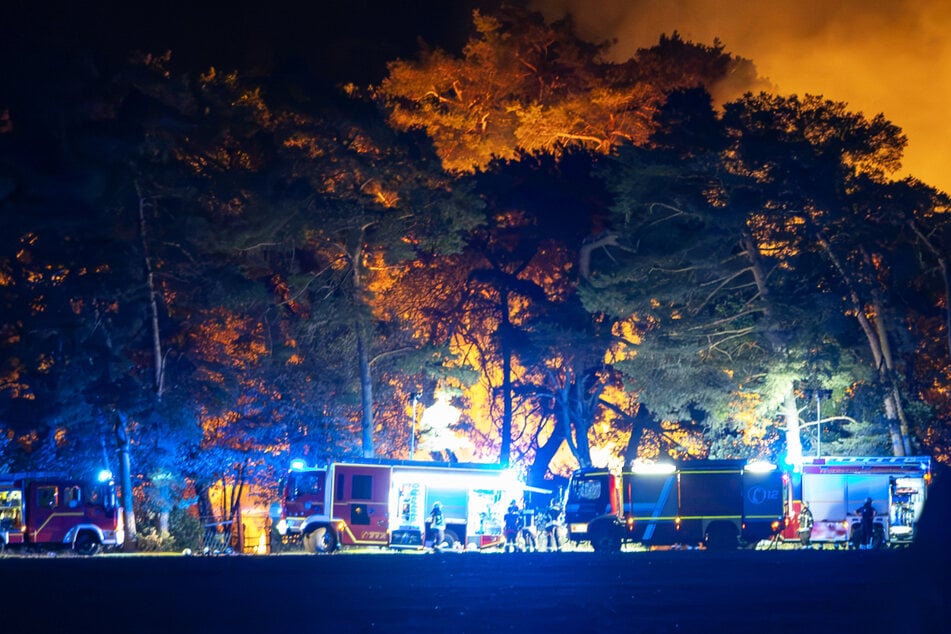 In einem bei dem Reiterhof liegenden Wald wüteten ebenfalls Flammen, die Polizei vermutet Brandstiftung.