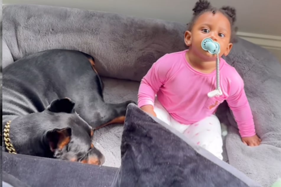 Tina Meeks discovered her young daughter hiding out on the dog bed directly behind the couch next to her dog bestie Cinnamon.