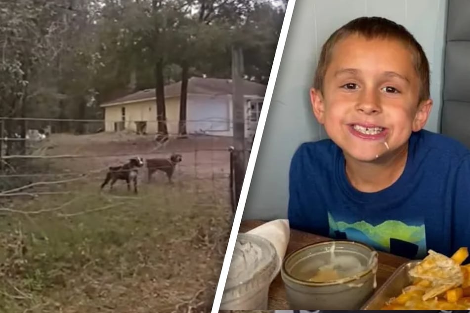 "He screamed for help": Boy (†8) is mauled by dogs