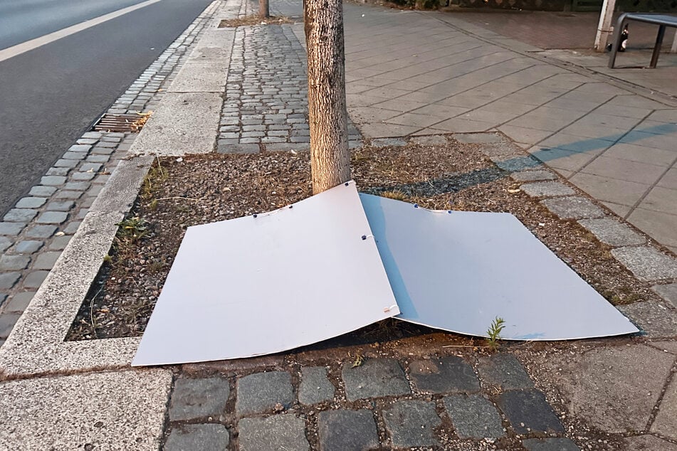 In Dresden wurden bereits Wahlplakate abgerissen.