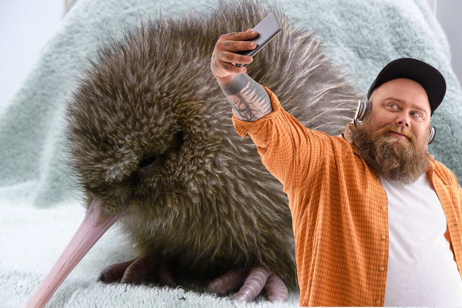 Kiwi "quälen" für rund 18 Euro: Neuseeländer stinksauer auf US-Zoo