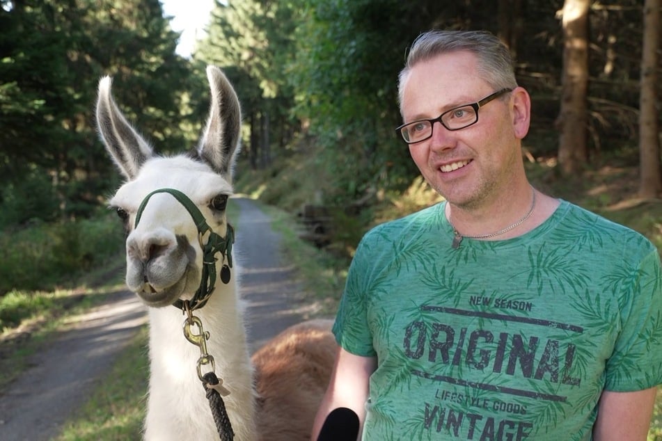 Das Lama Keks und sein Betreuer Mike Robeck-Jokisch sind wieder vereint.