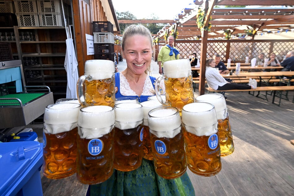 Wiesnbedienung Anika Schiller trägt 14 Maß Bier von Hofbräu. Auf dem Oktoberfest ist das Zelt der Brauerei vor allem bei Touristen sehr beliebt.