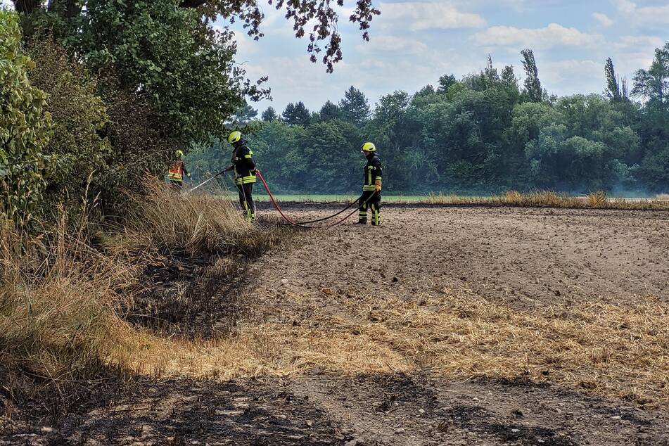 Der Brand breitete sich bis zum Waldrand aus.