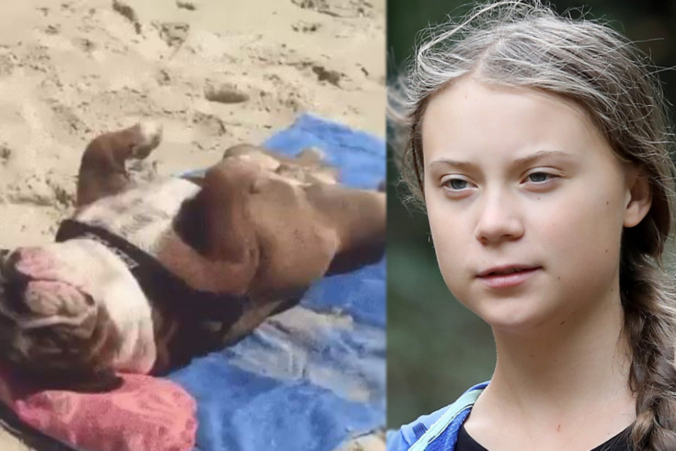 Nackt  Greta Thunberg Manipuliertes Foto
