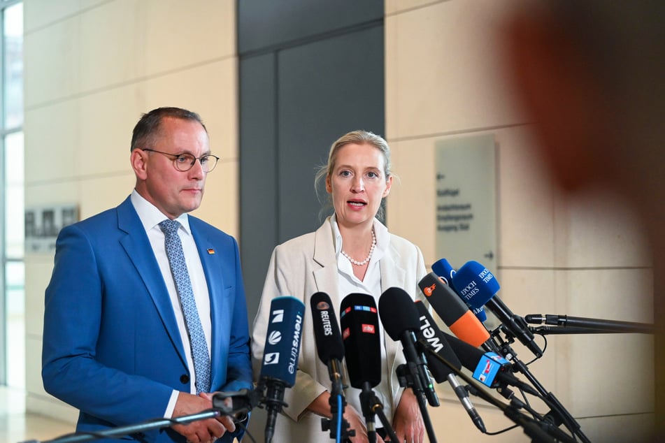 Die AfD-Spitze darf sich über starke Umfragewerte freuen.