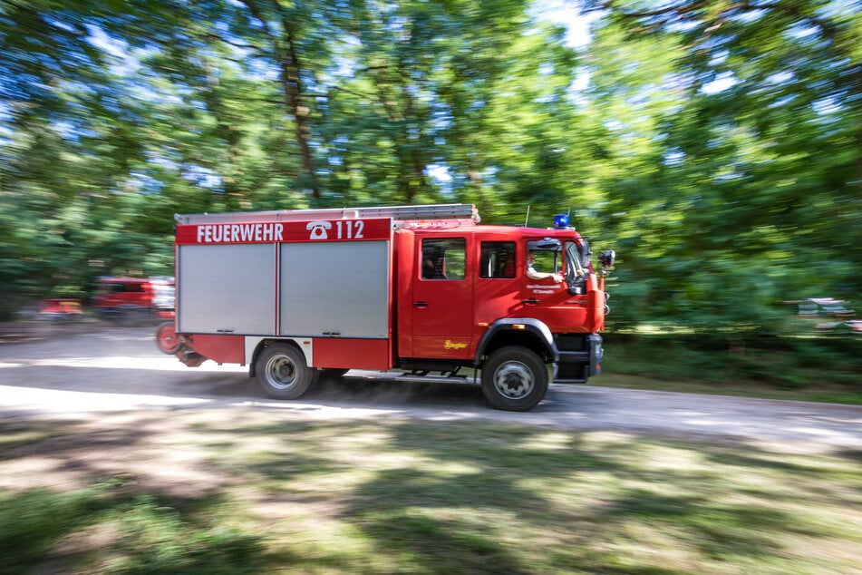 2024 gab es laut Ministerium 196 Waldbrände in Brandenburg und damit deutlich weniger als in den Vorjahren. (Symbolbild)